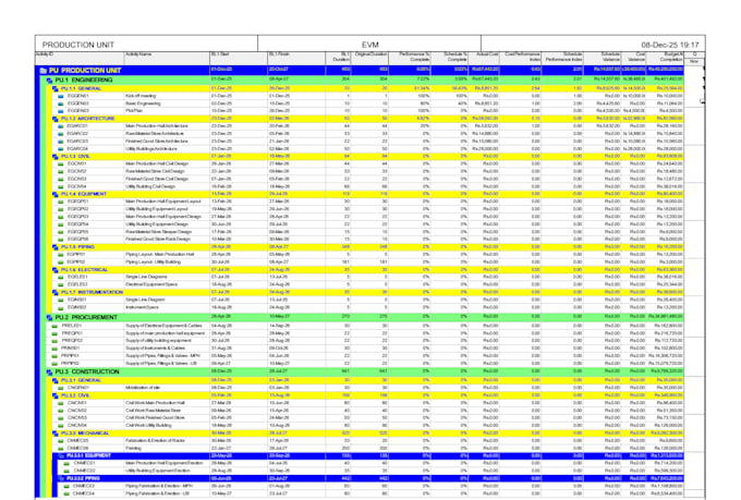 create professional primavera p6 project schedules